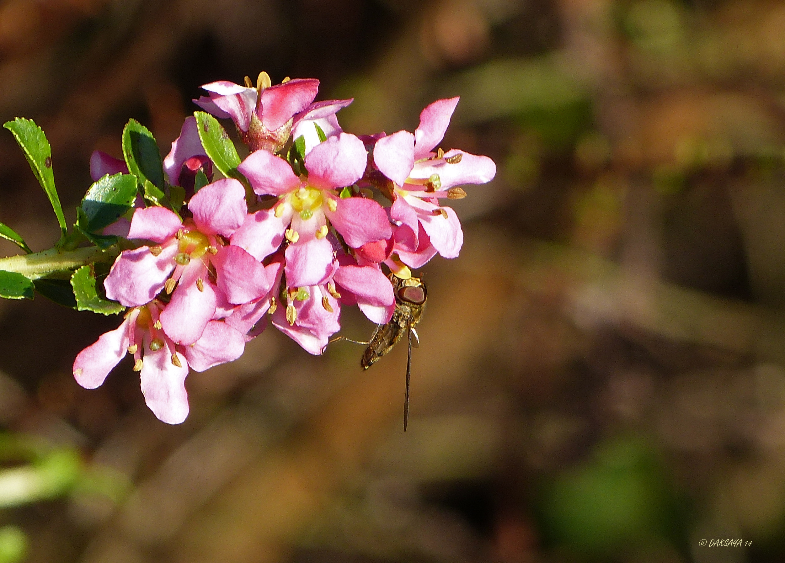 Lijkt wel lente!