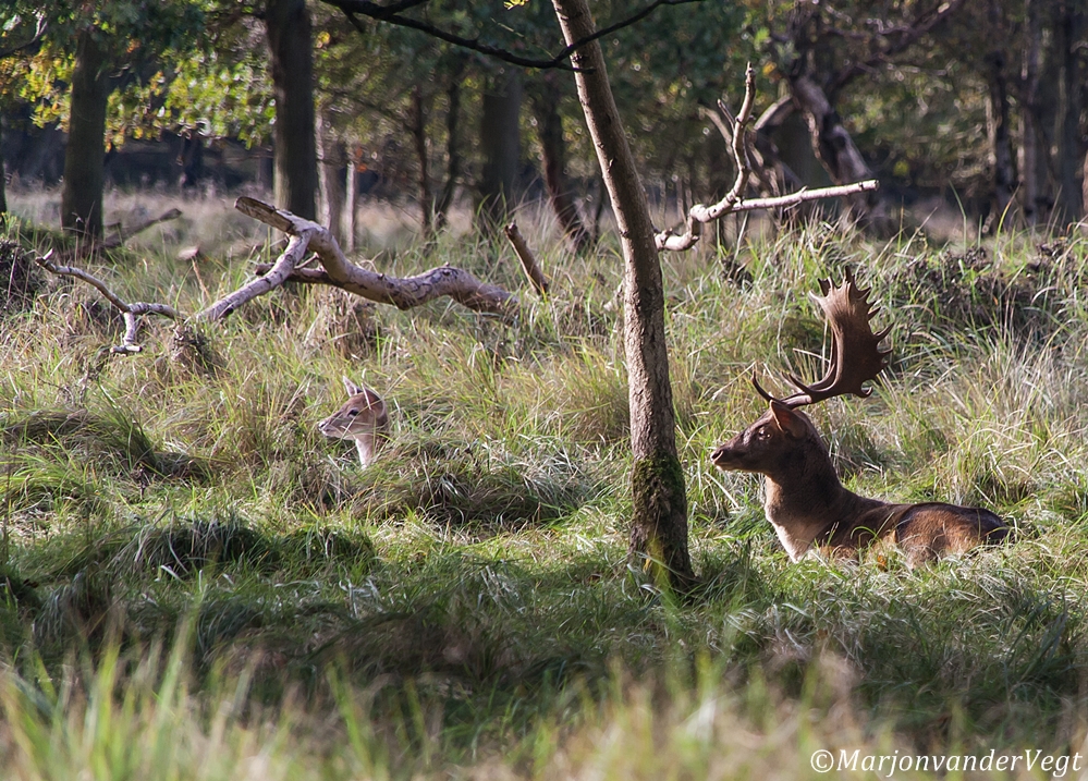 Wel op de kleintjes letten