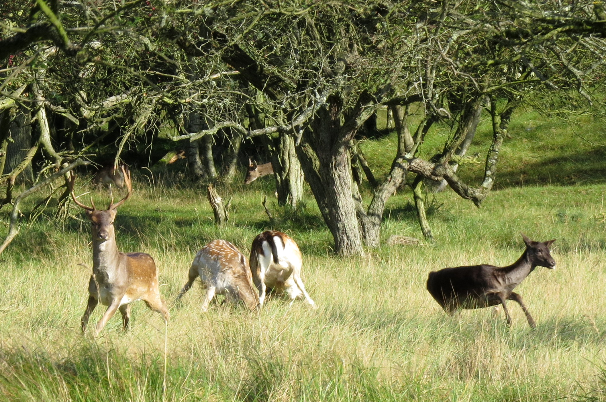 Ohh help..ze beginnen weer!