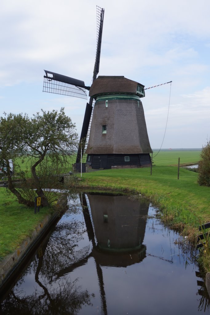 Molen met...