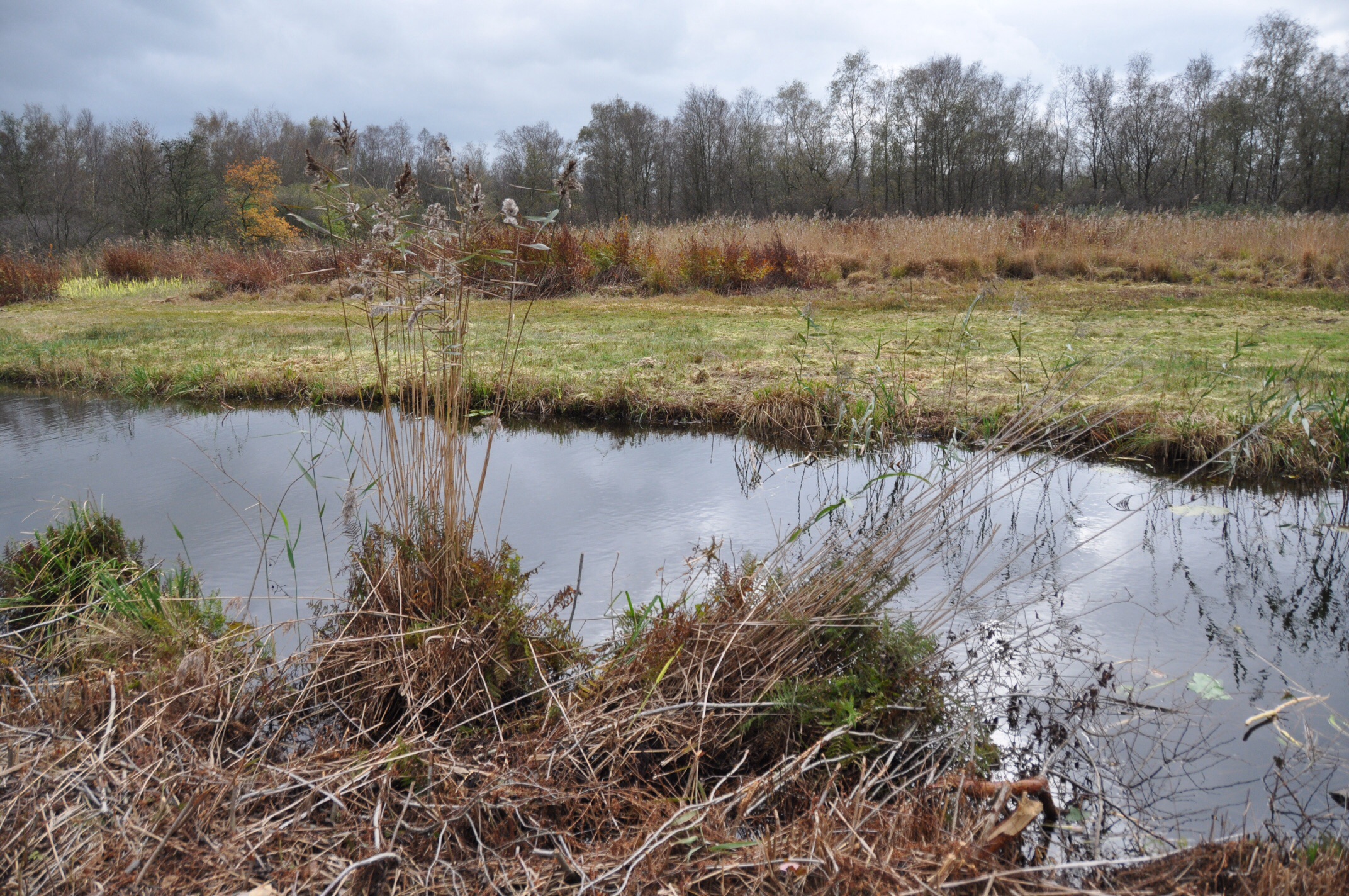 Nieuwkoopse Plassen 2