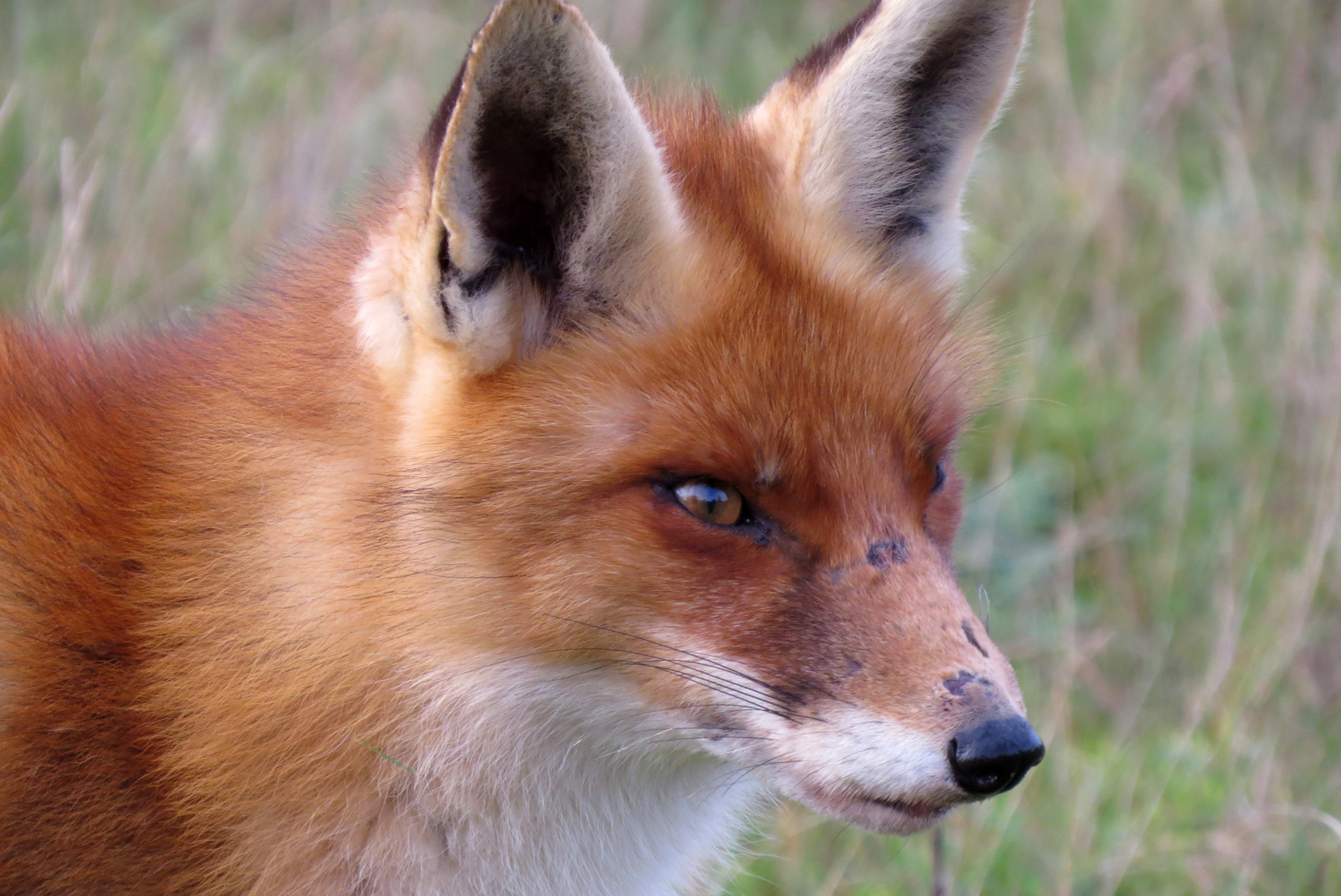 Bijzondere ontmoeting