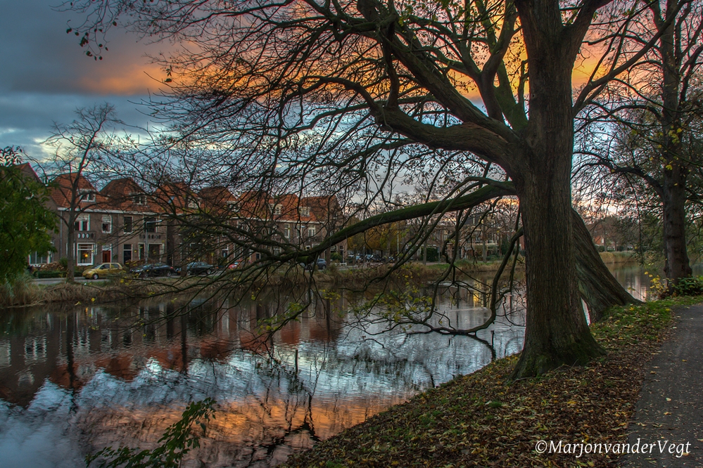 Avondrood regen in de sloot