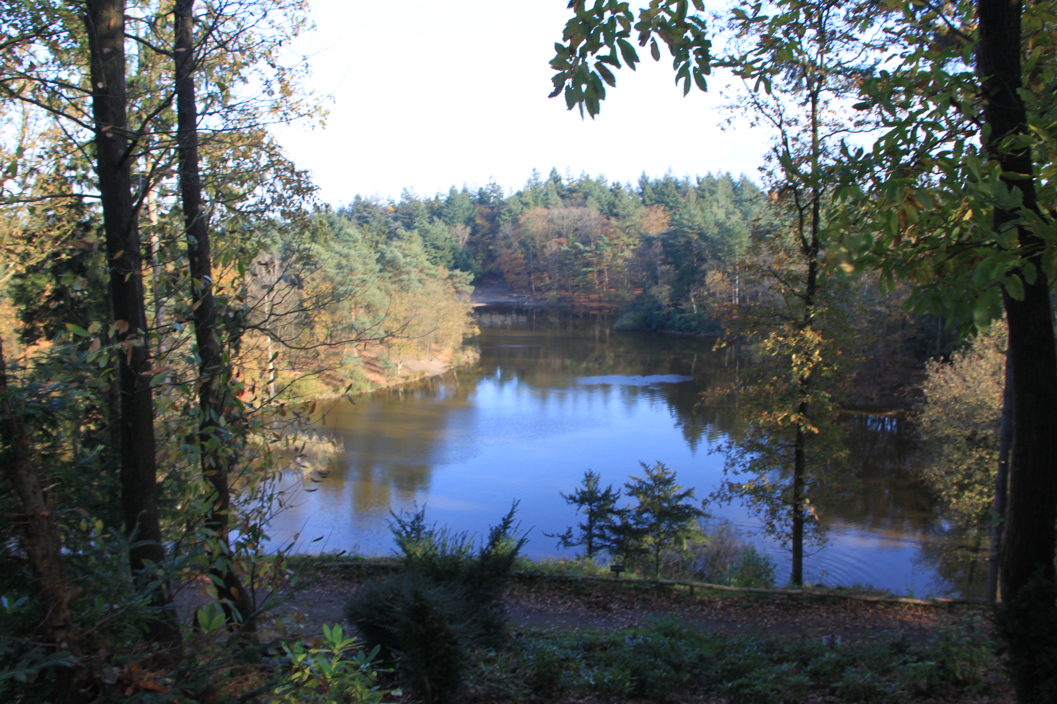 Bosvijver Amersfoort