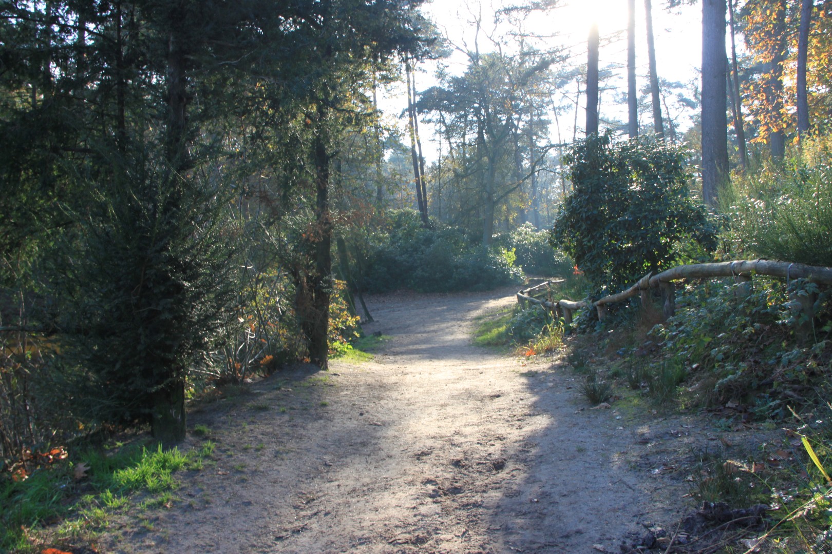 Bosvijver Amersfoort