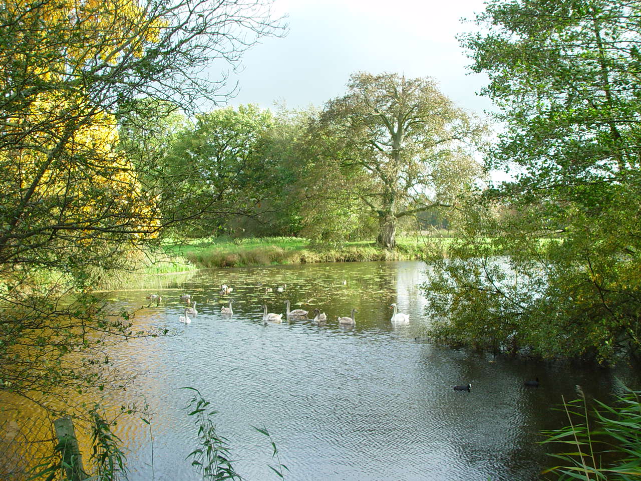Meertje...Stoutenburg
