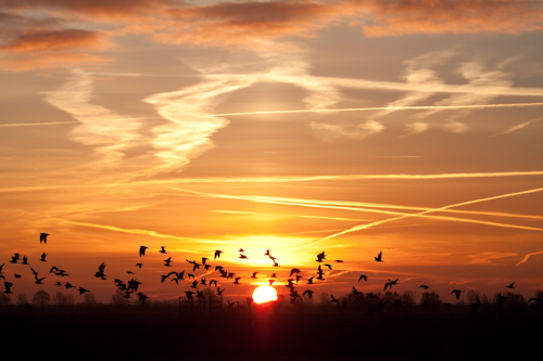 zonsopgang