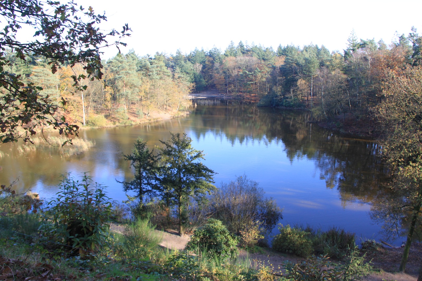 Bosvijver Amersfoort