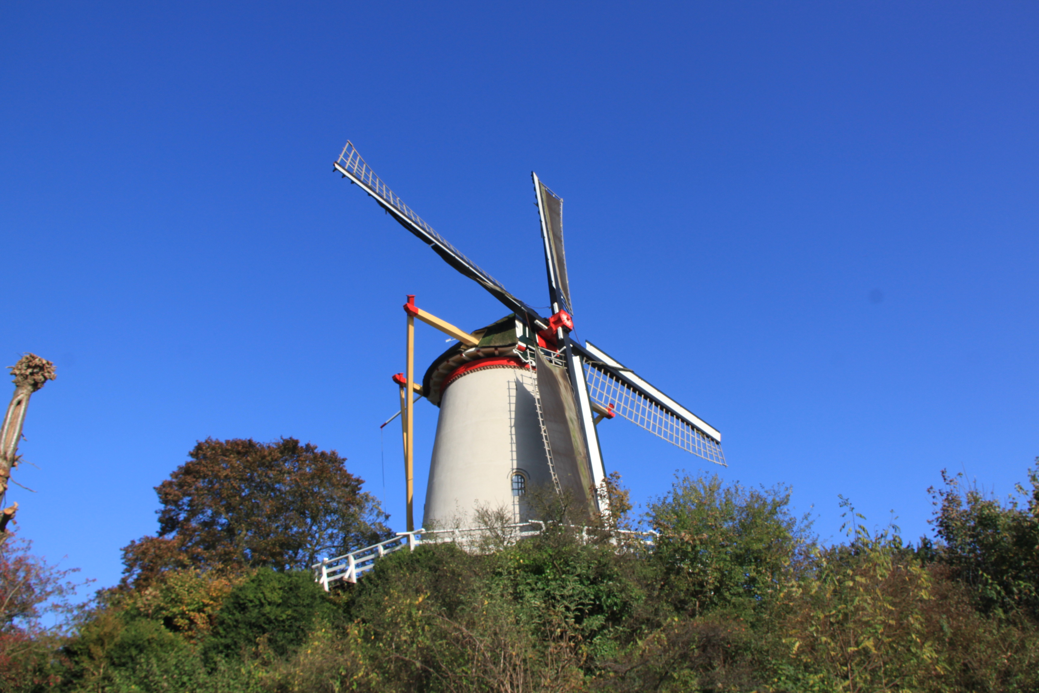 Molen 