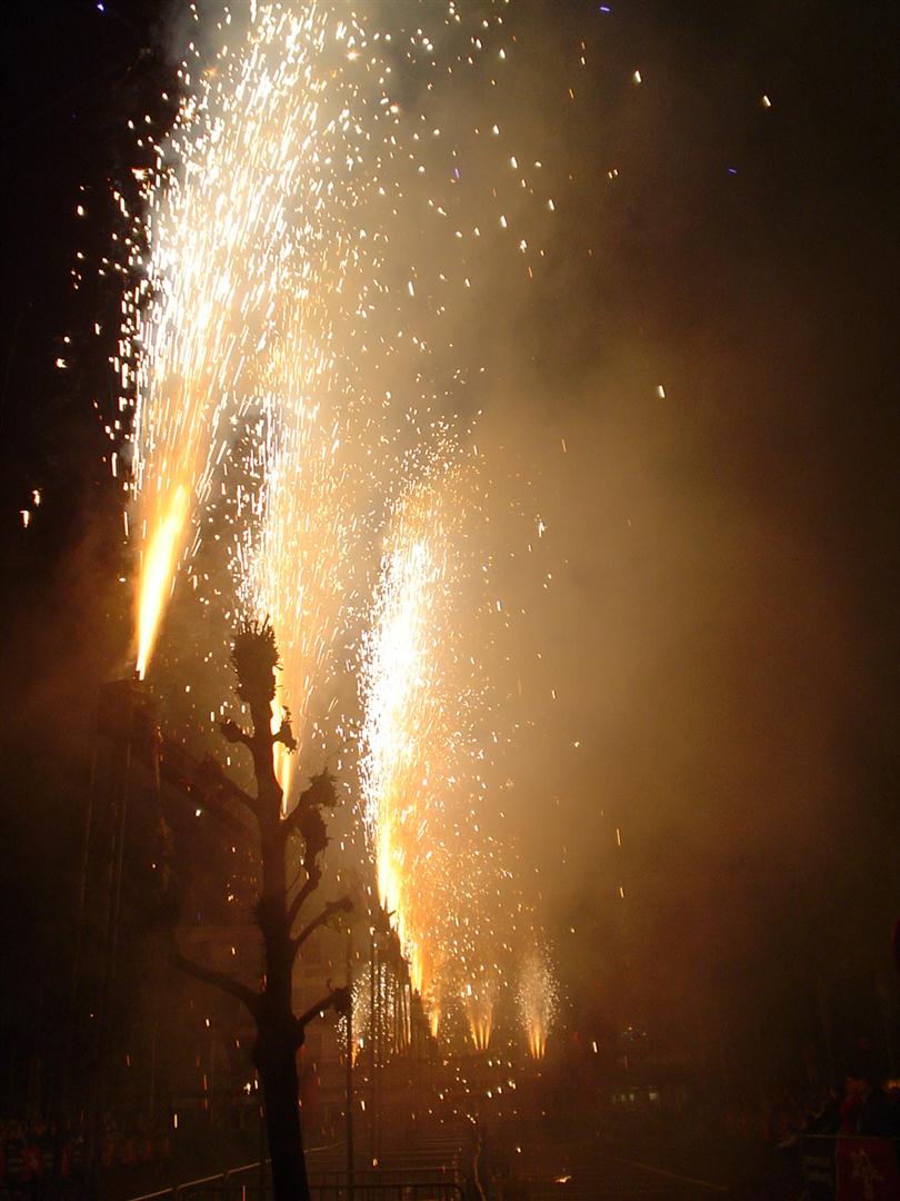 FEEST