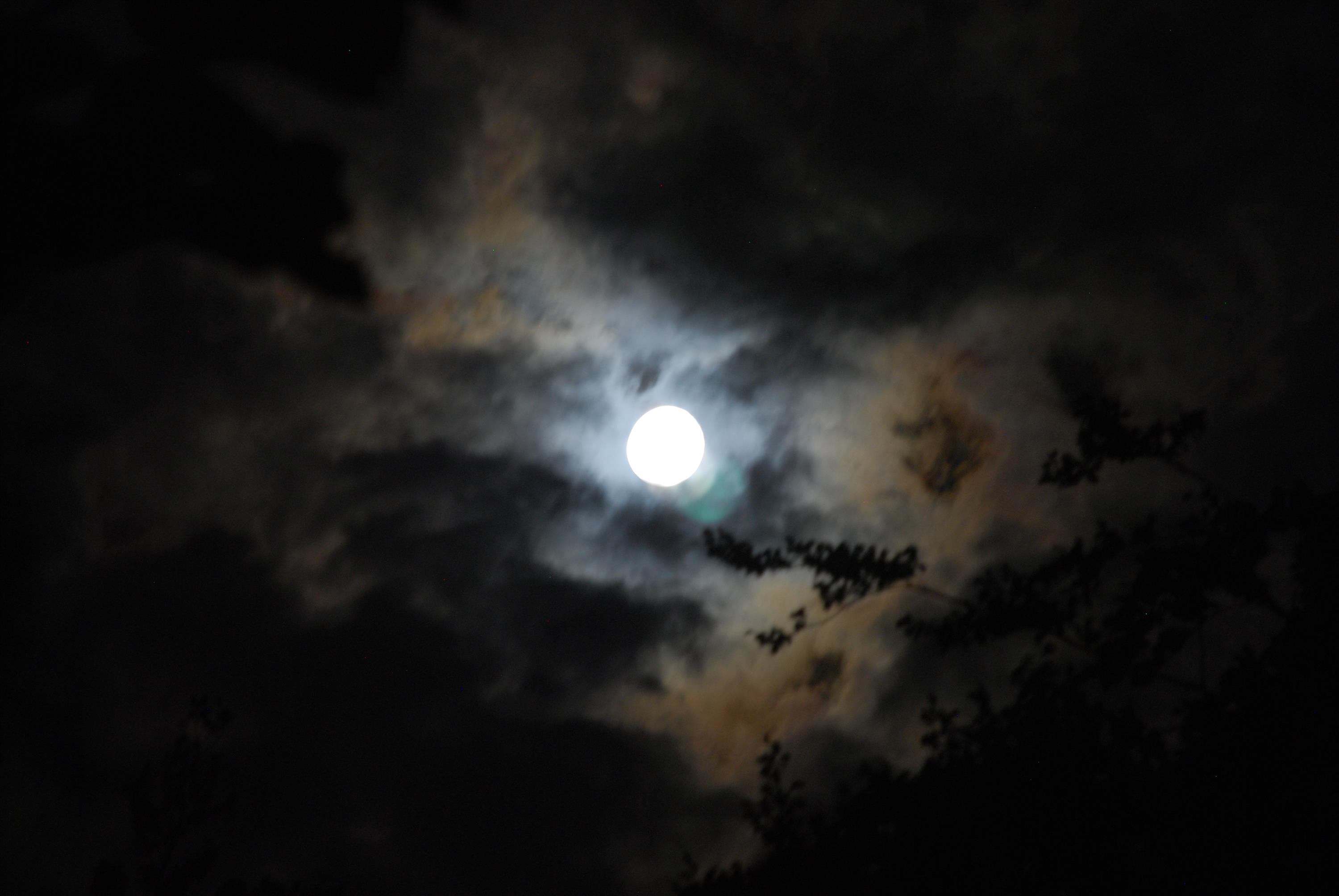 VOLLE MAAN