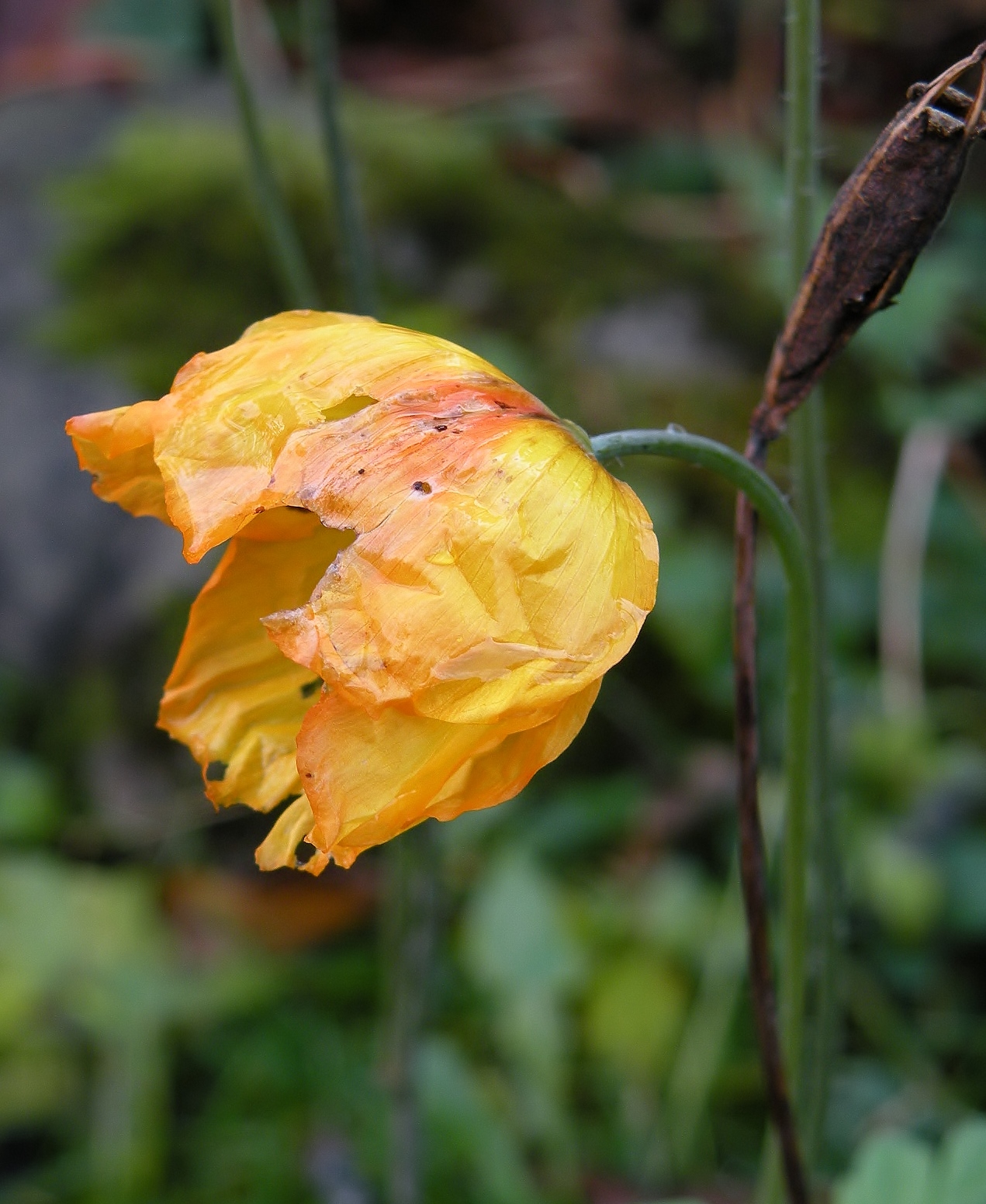 Eindelijk open 16 dec