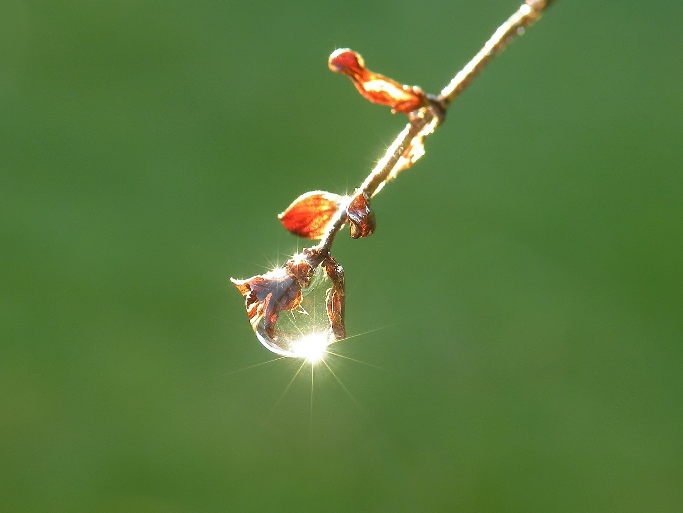 Een zonnetje gevangen