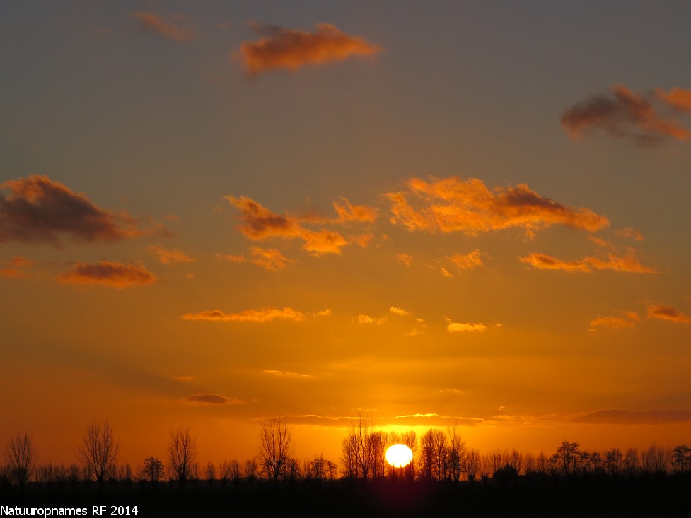 Zonsondergang boven de Alblasserwaard