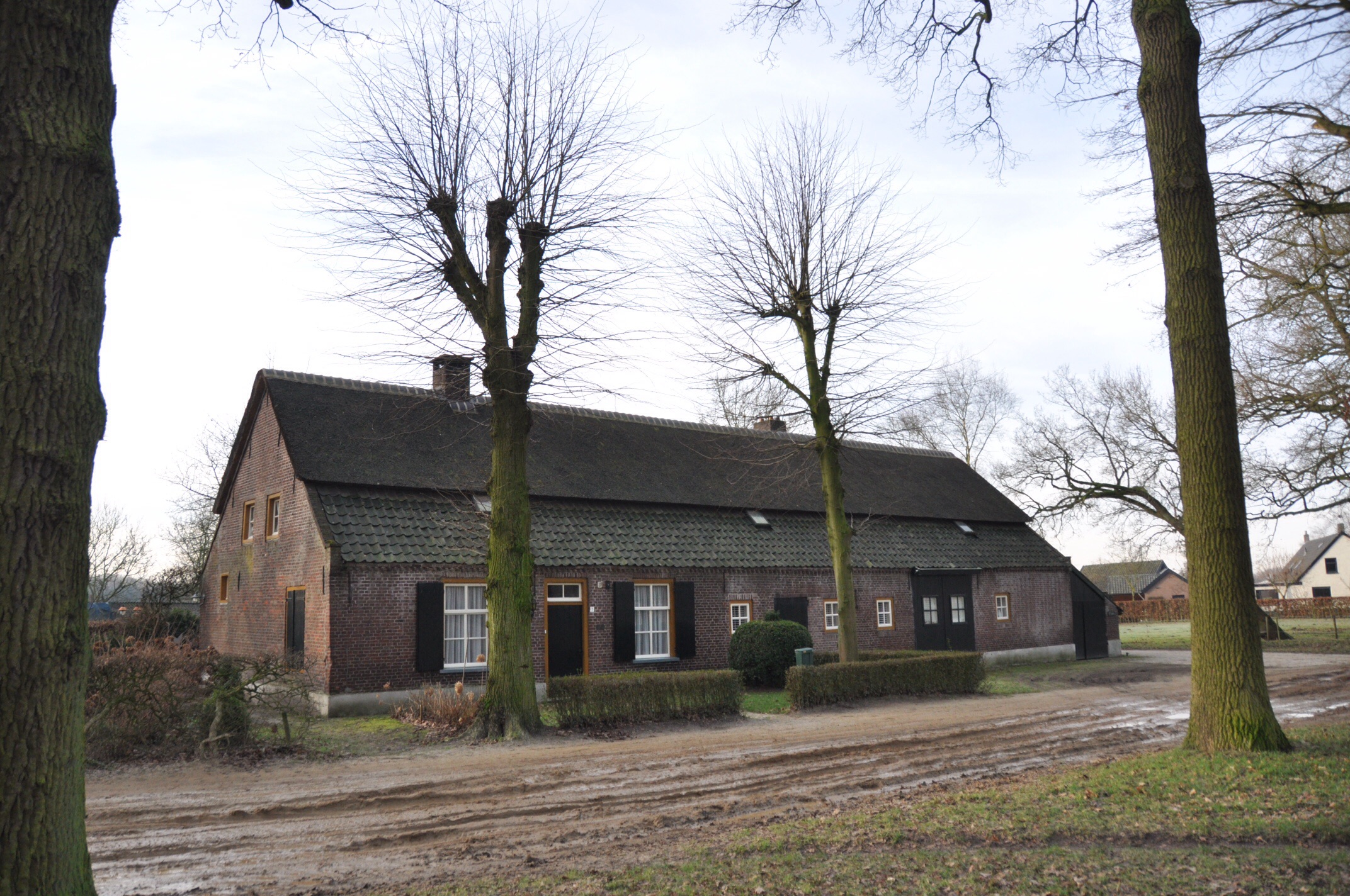 Boerderij 4