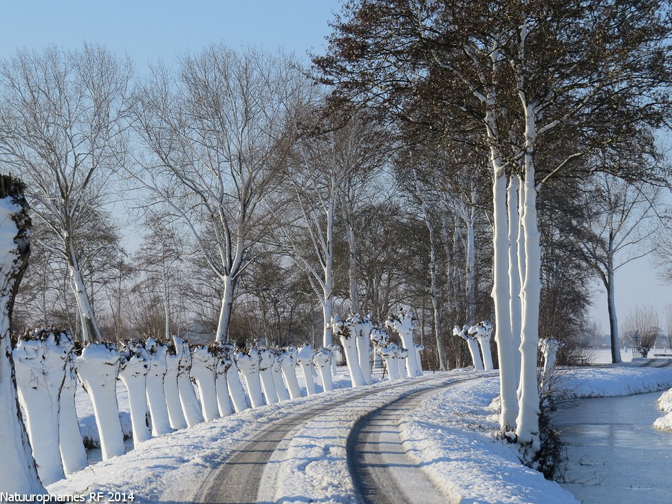 Winterlandschap