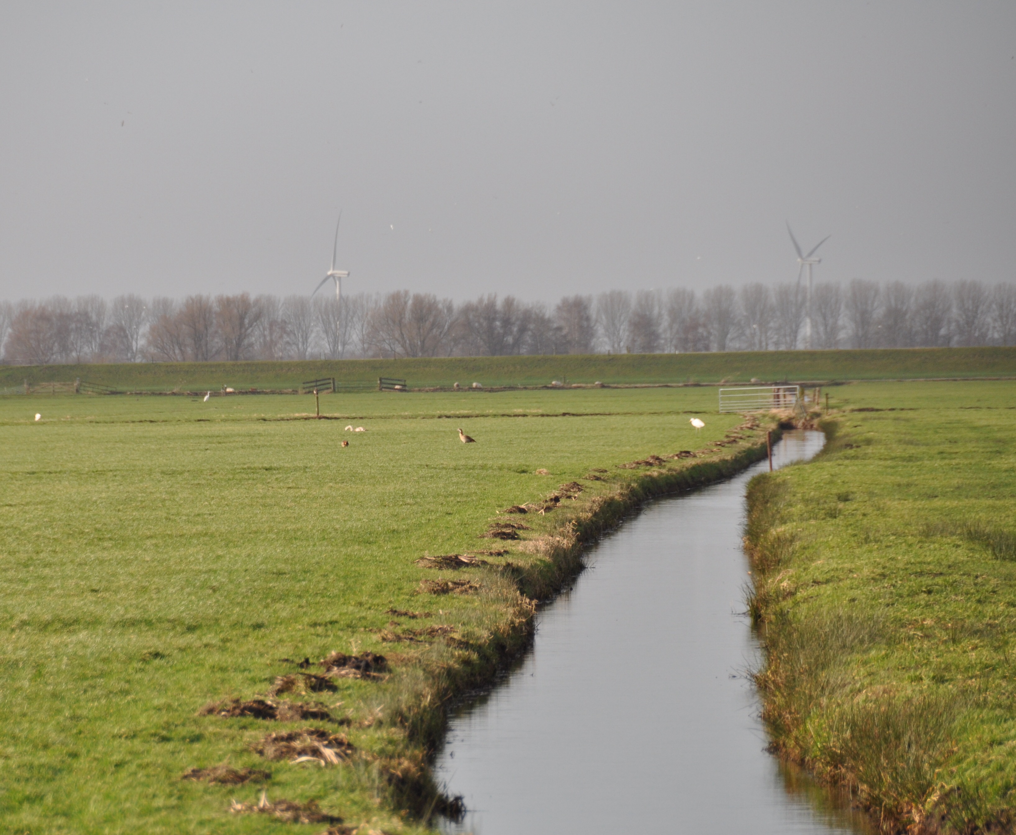 Achter de zomerdijk 5