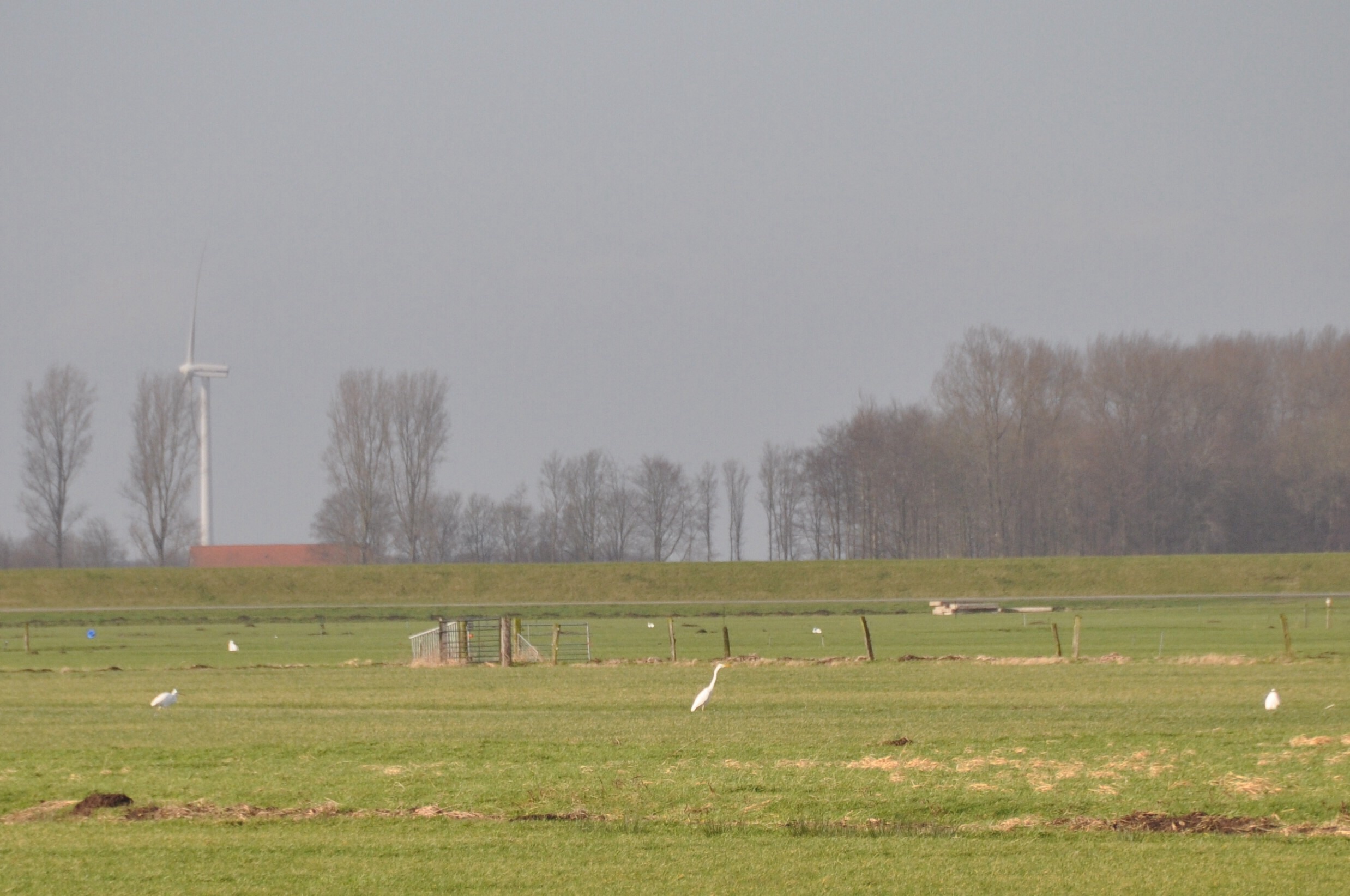 Achter de zomerdijk  2