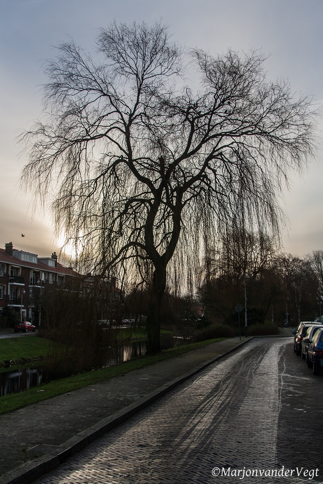 Ochtendgloren voor Gijs