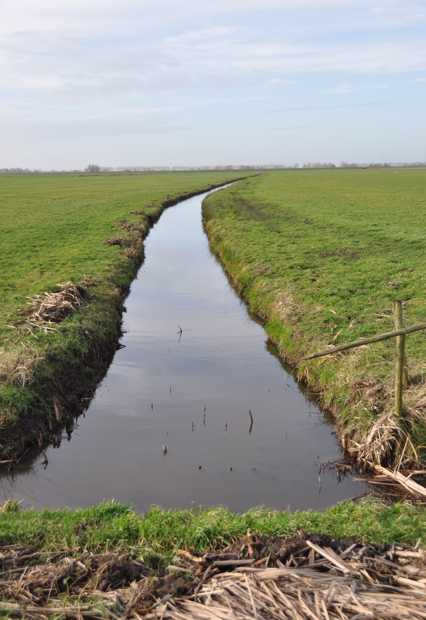 Land achter de zomerdijk