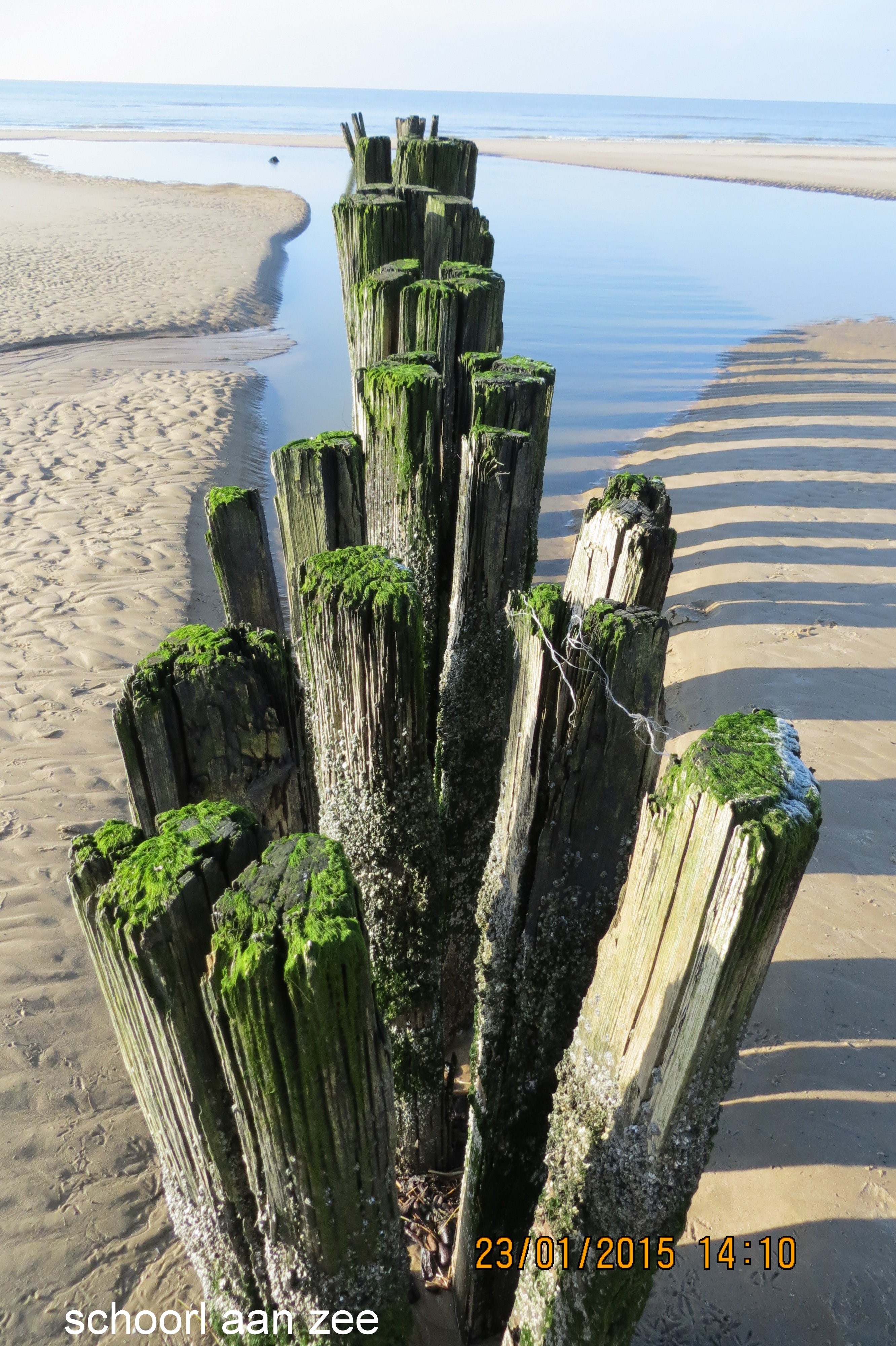 gespleten strandpalen