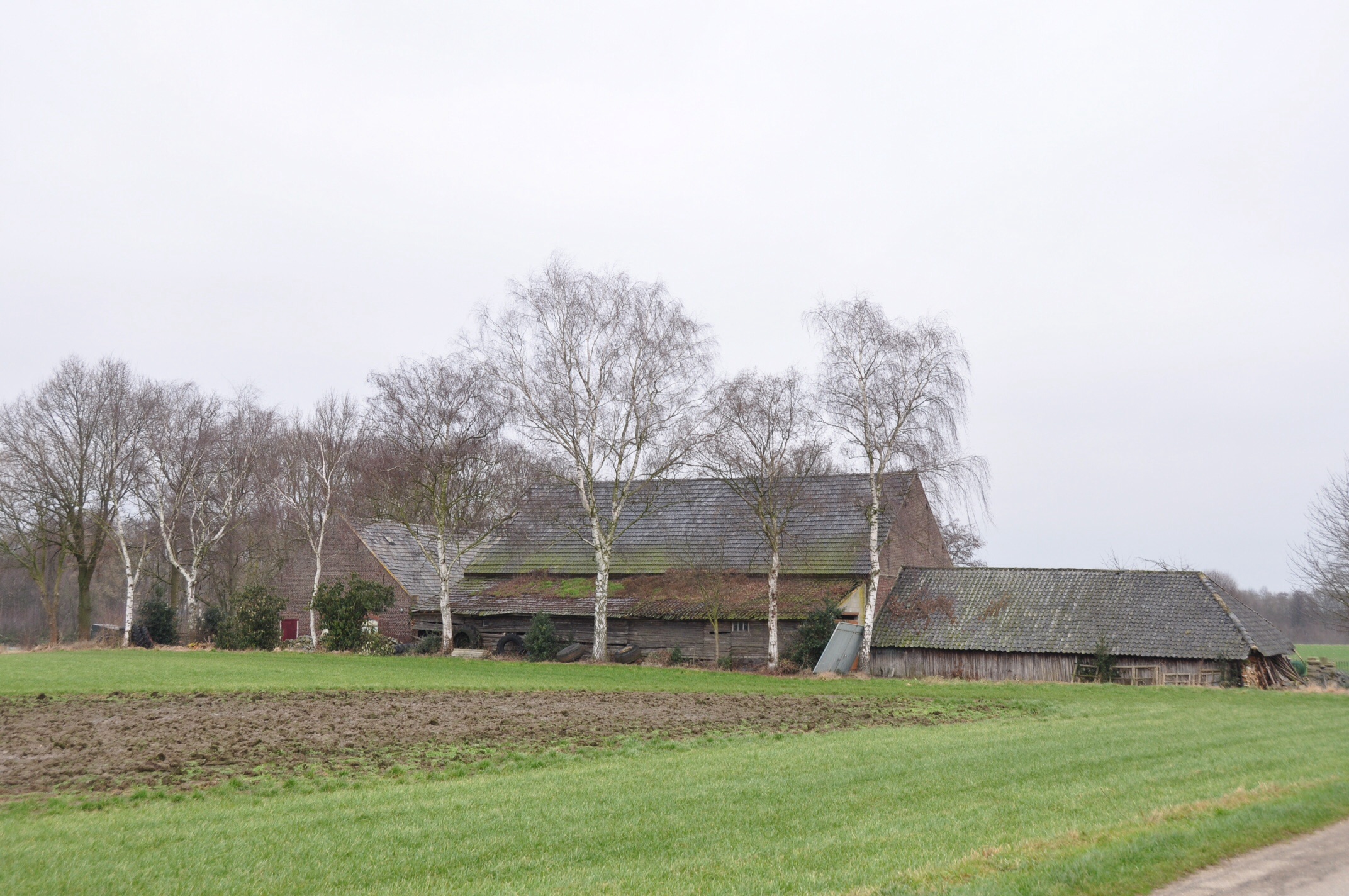 Boerderij