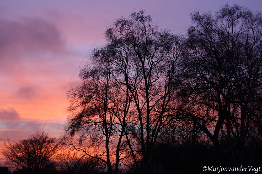 Ochtend rood? water in de sloot