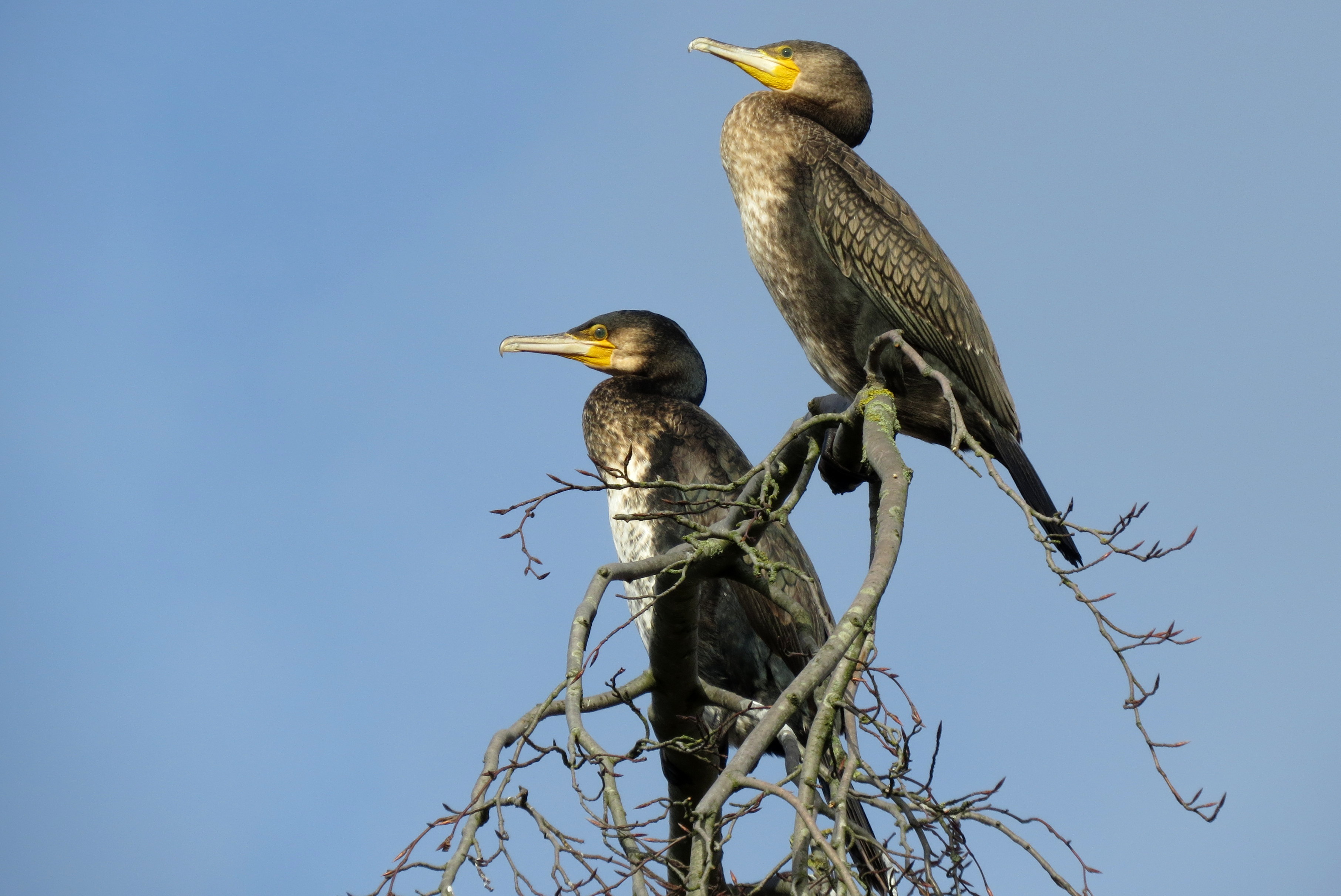 Samen in het zonnetje
