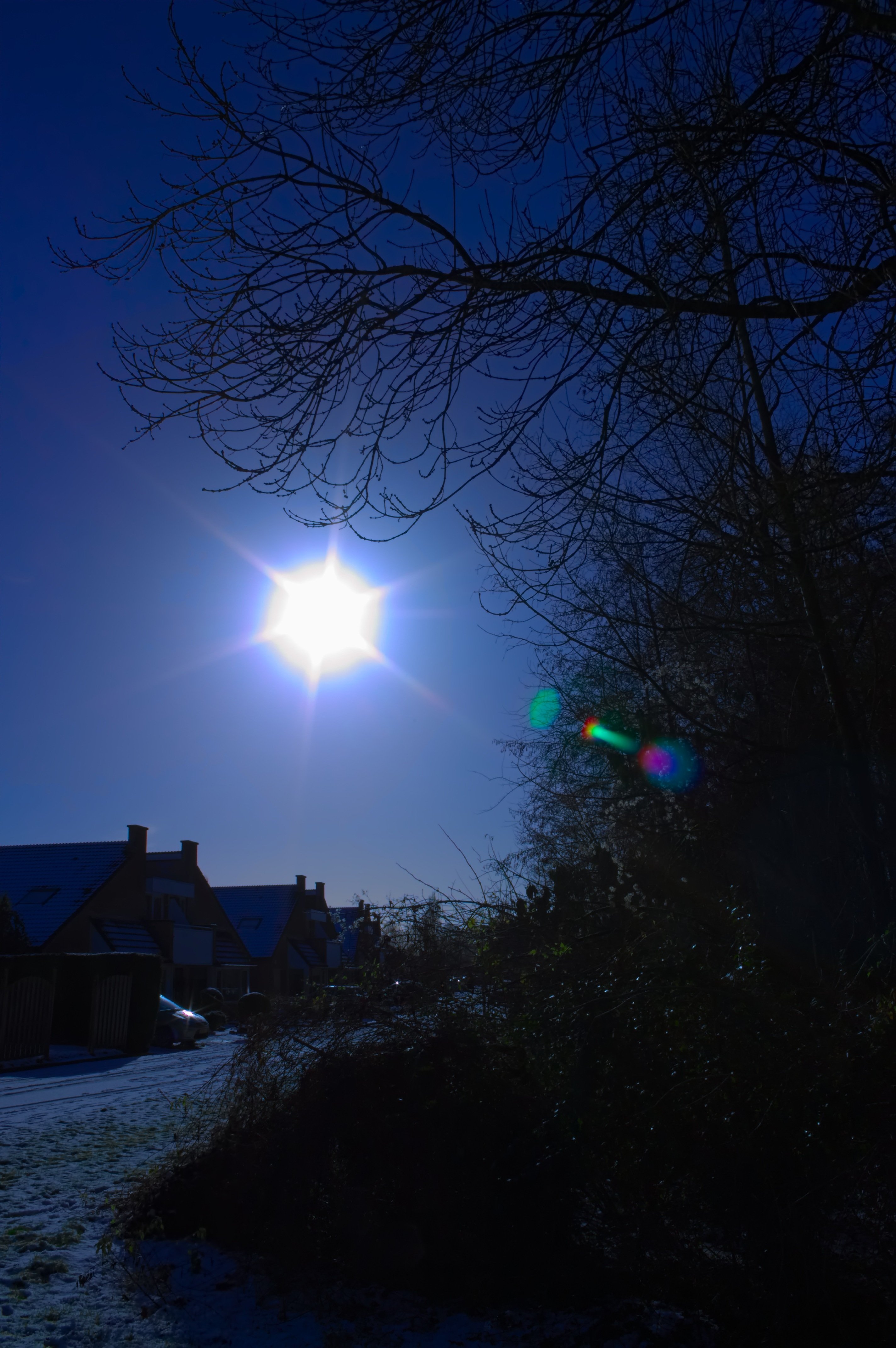 tegenlicht