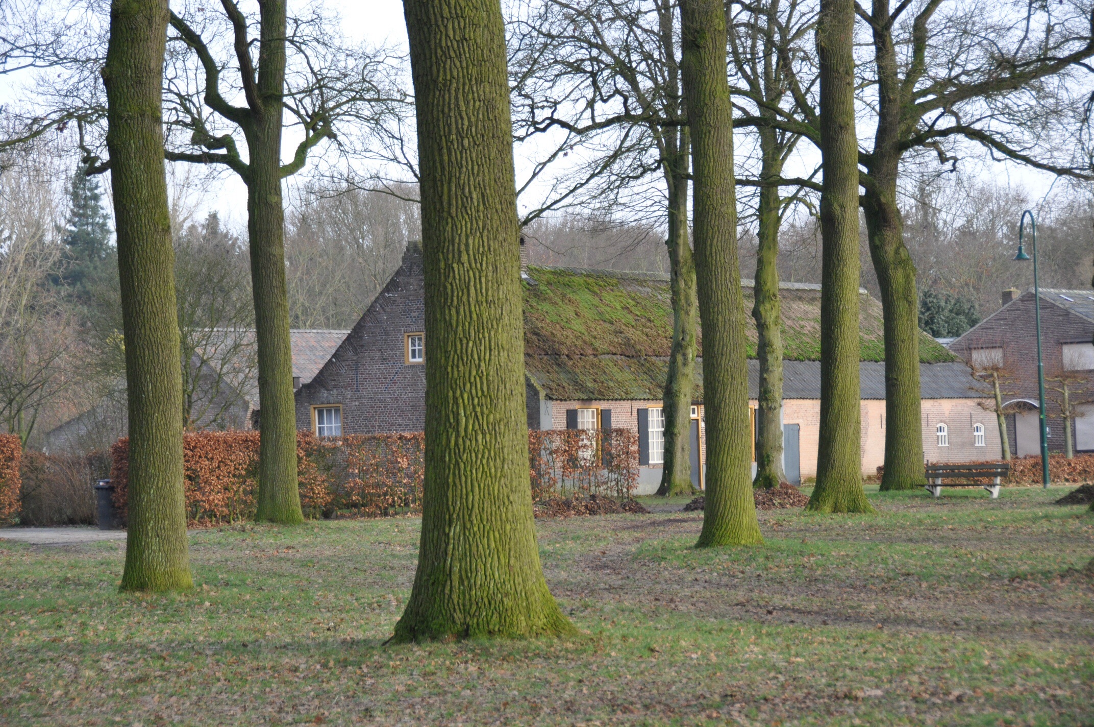 Boerderij
