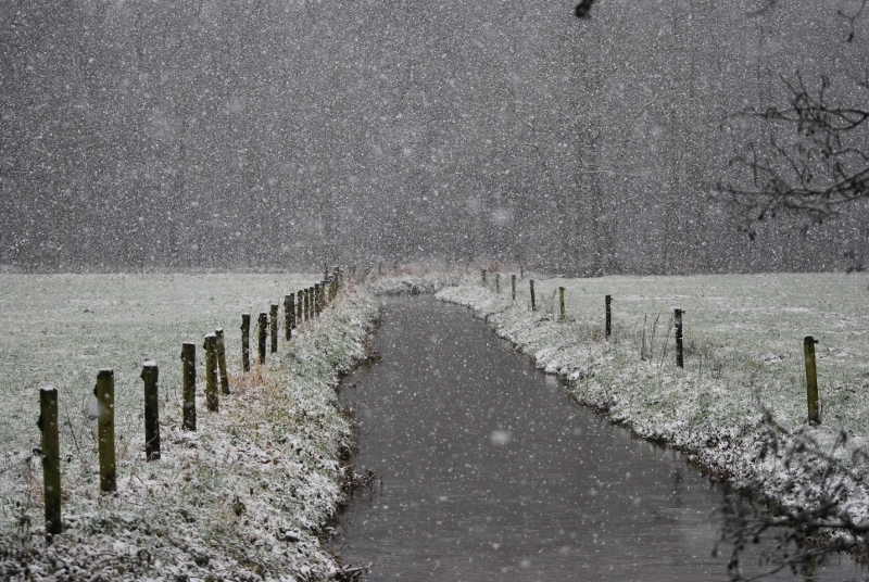 Leuvenumsebeek
