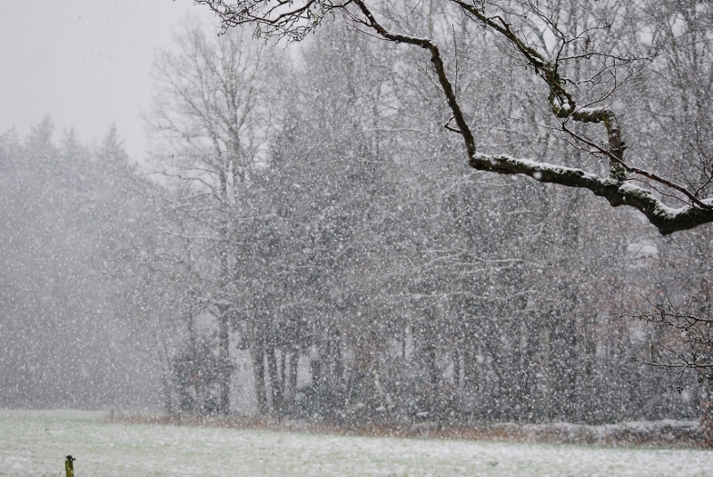 sneeuwval