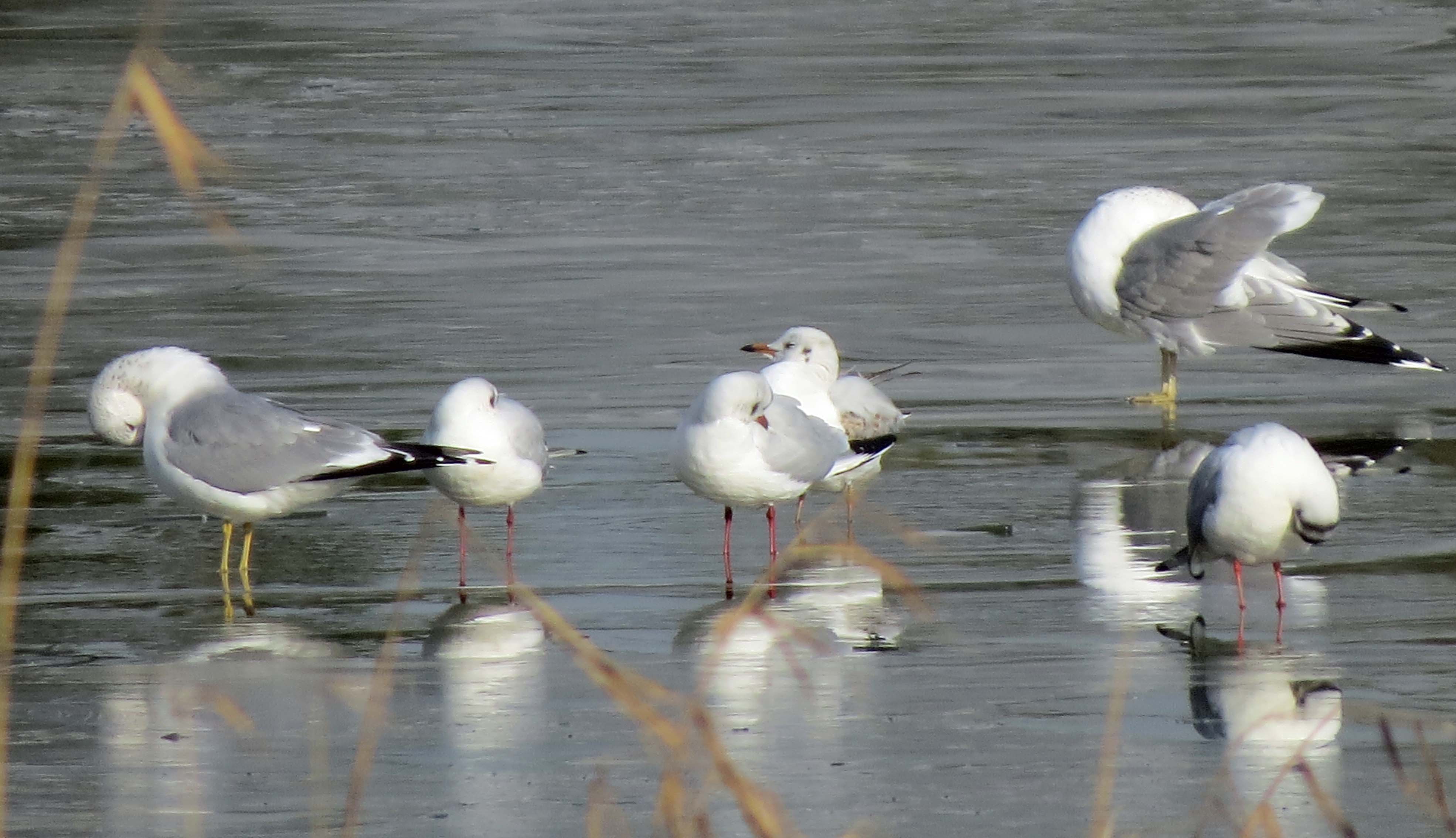 Poetsen met de spiegel erbij