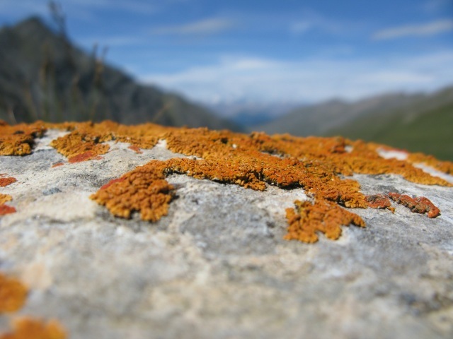 In de Queyras