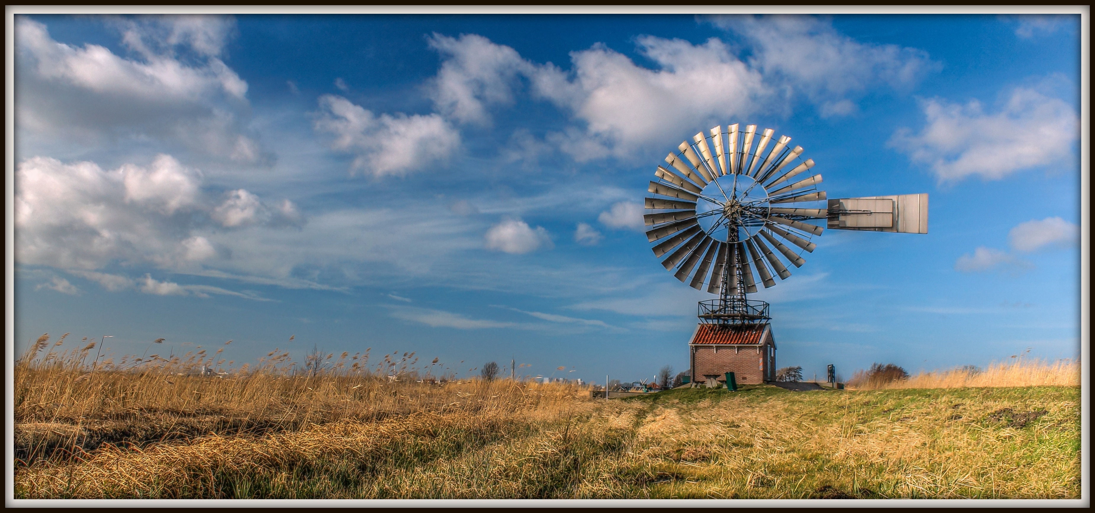 Roosmolen de Hercules kalverpolder Zaandam.