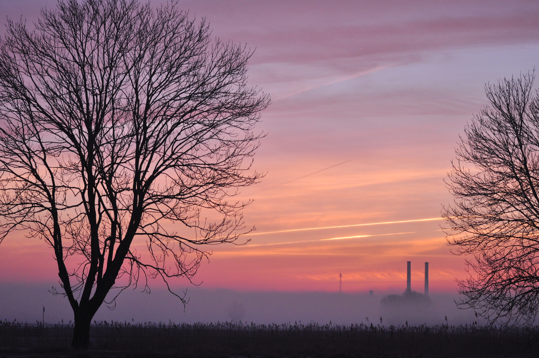 misty morgen op de uiterwaarden