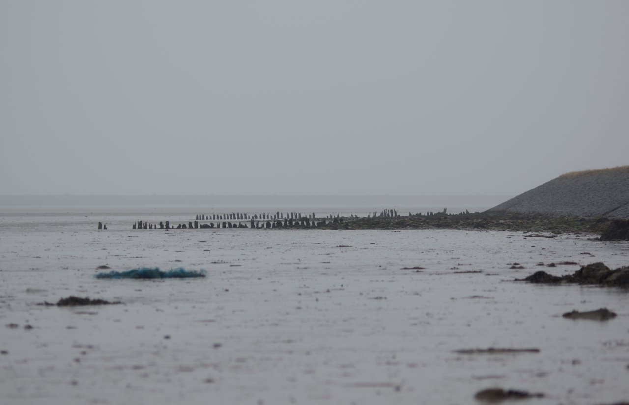 't Wad bij oosterland 