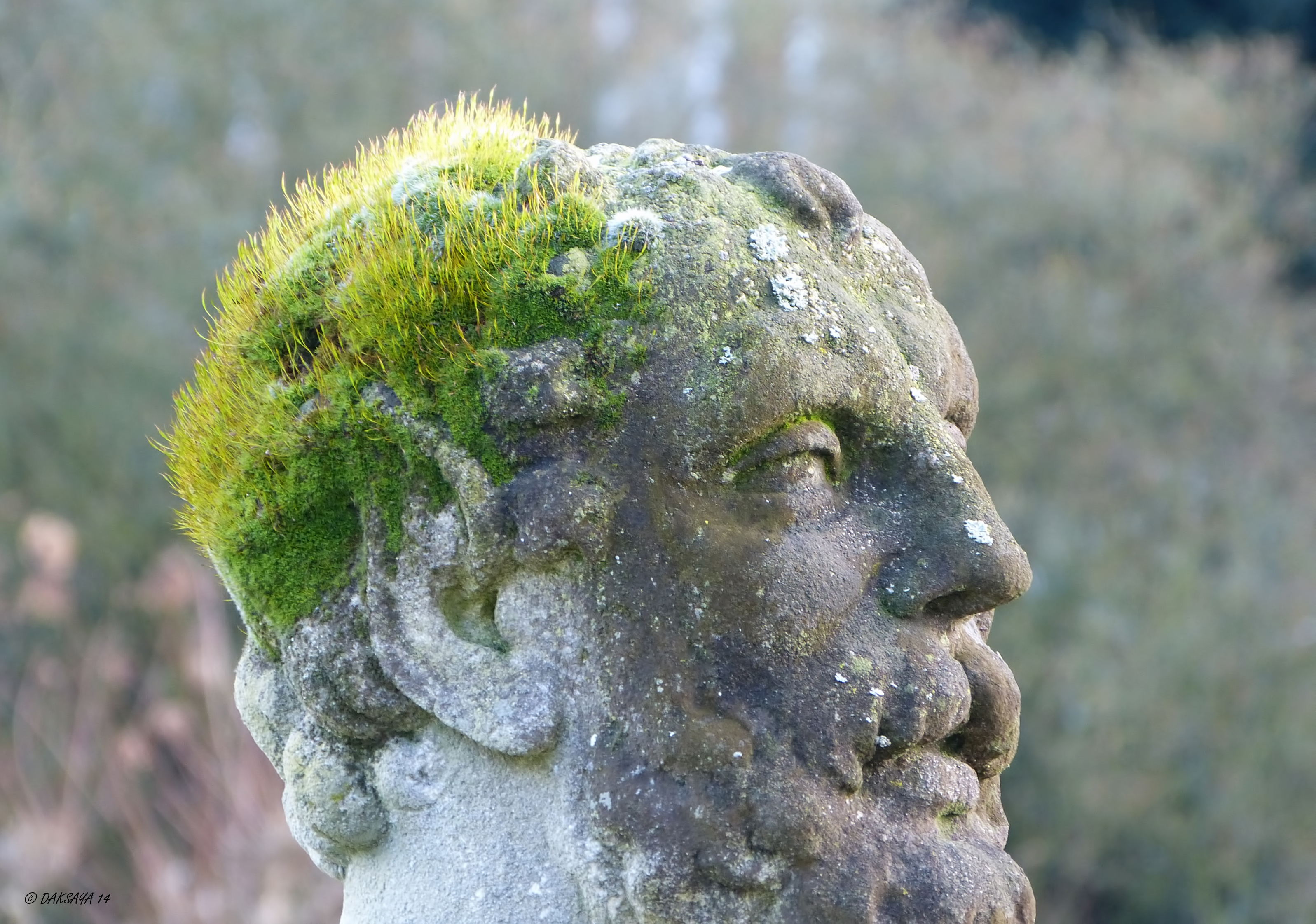 Mossig haar