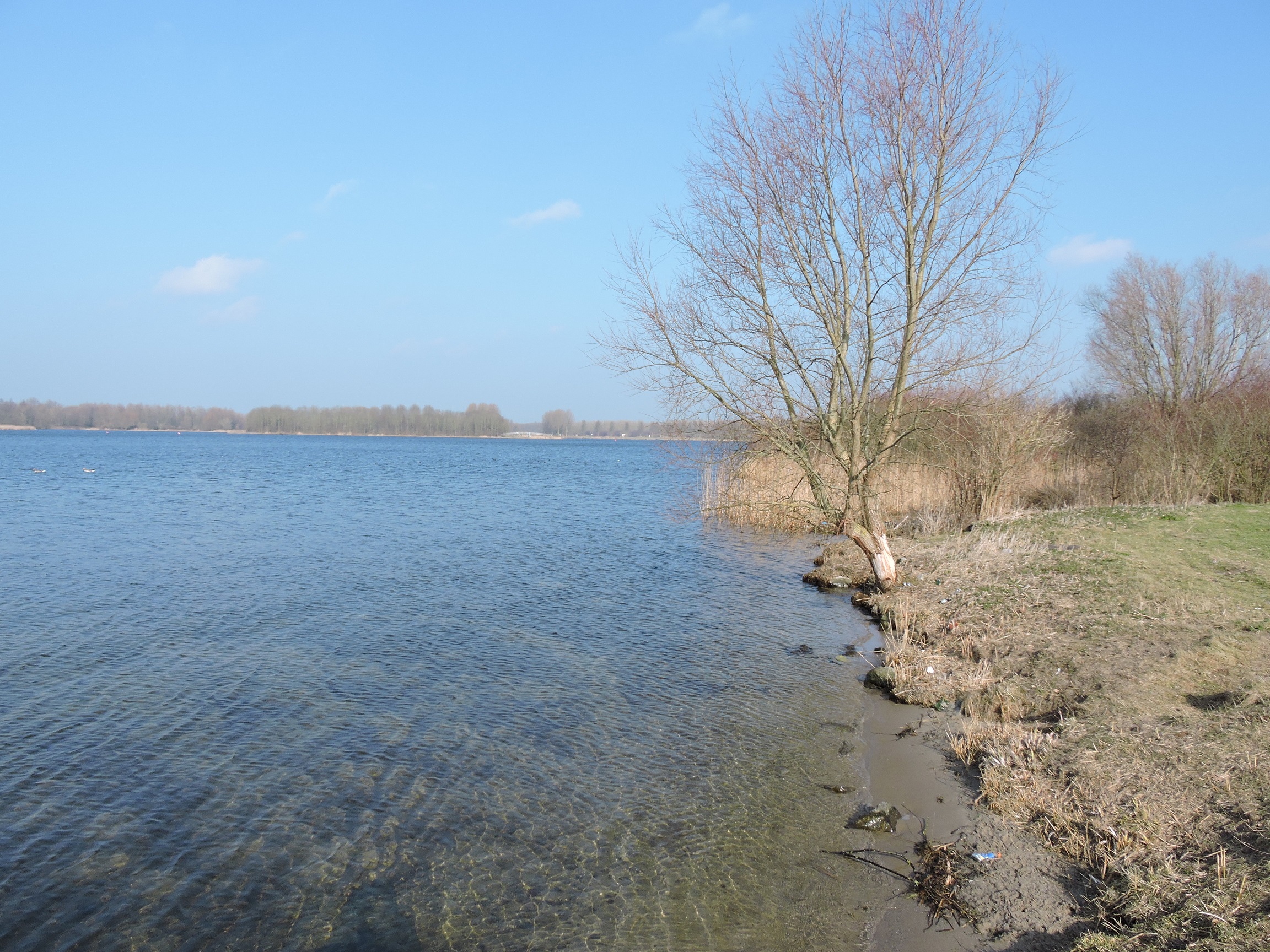 Noorderplassen
