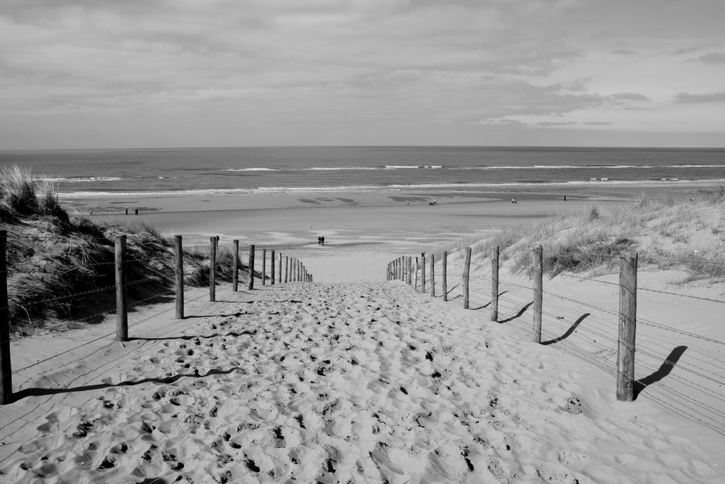 Running to the sea