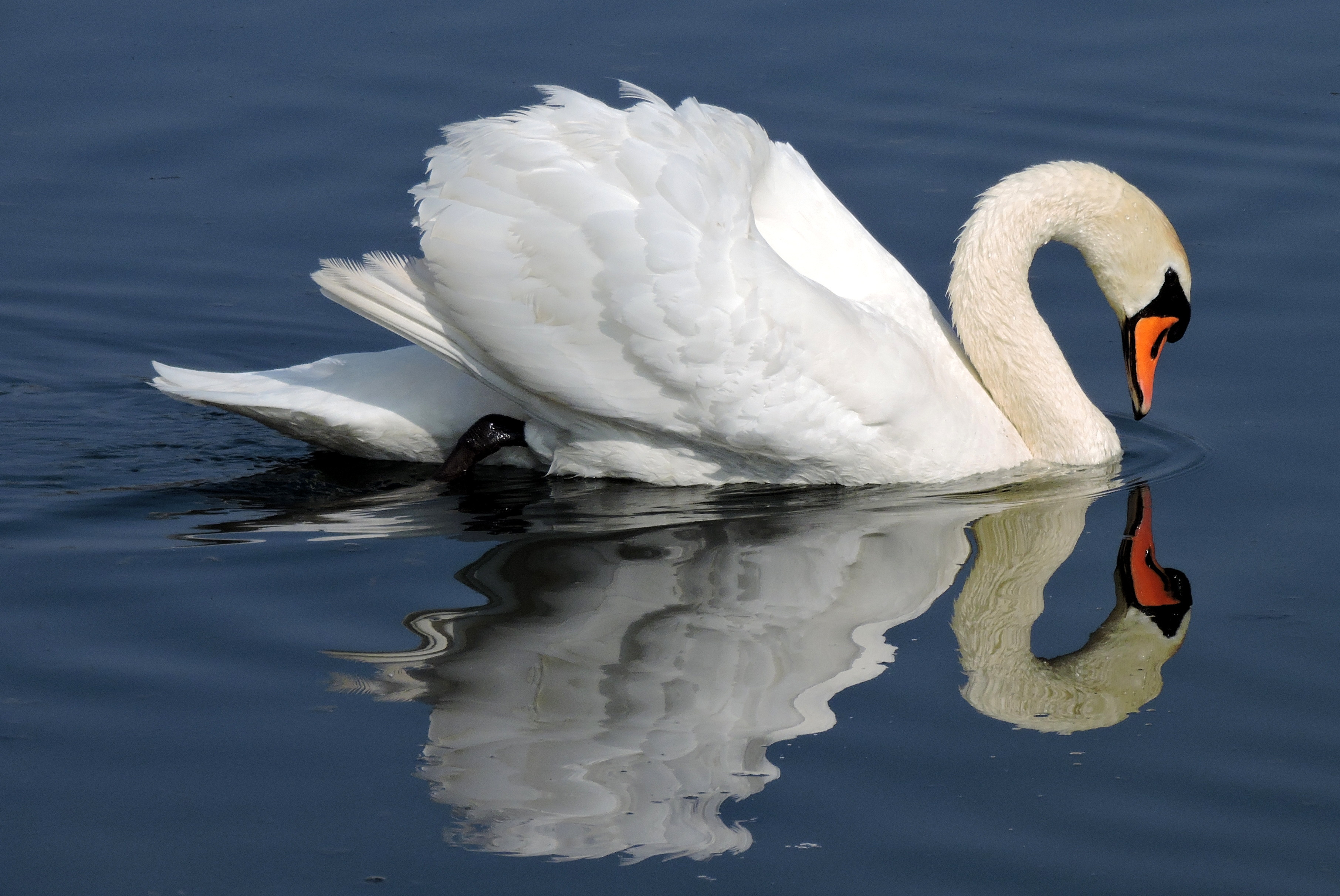 Spiegeltje, spiegeltje....