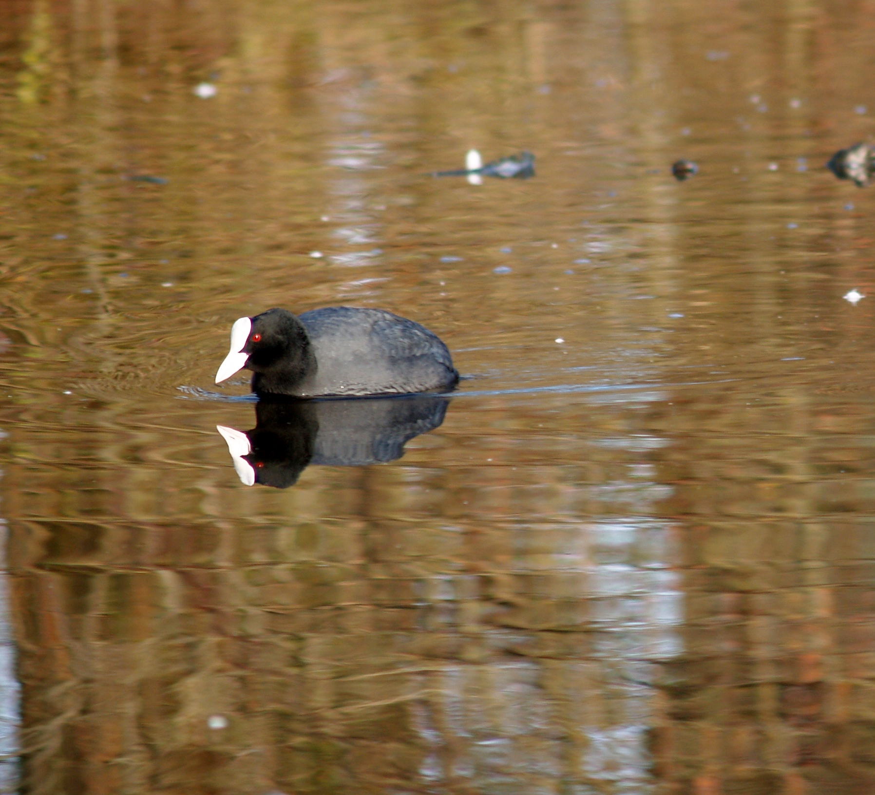 spiegelbeeld