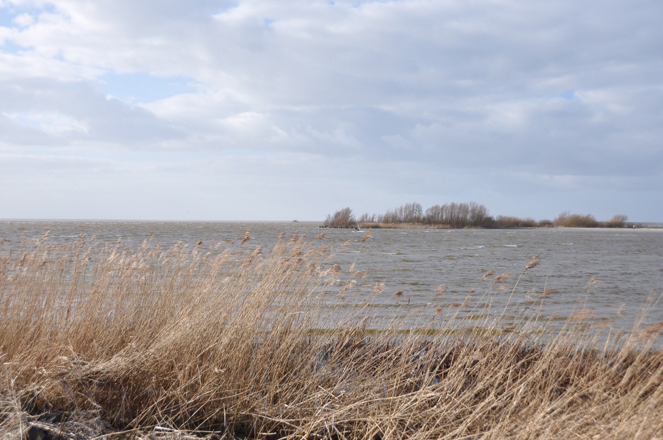 IJsselmeer