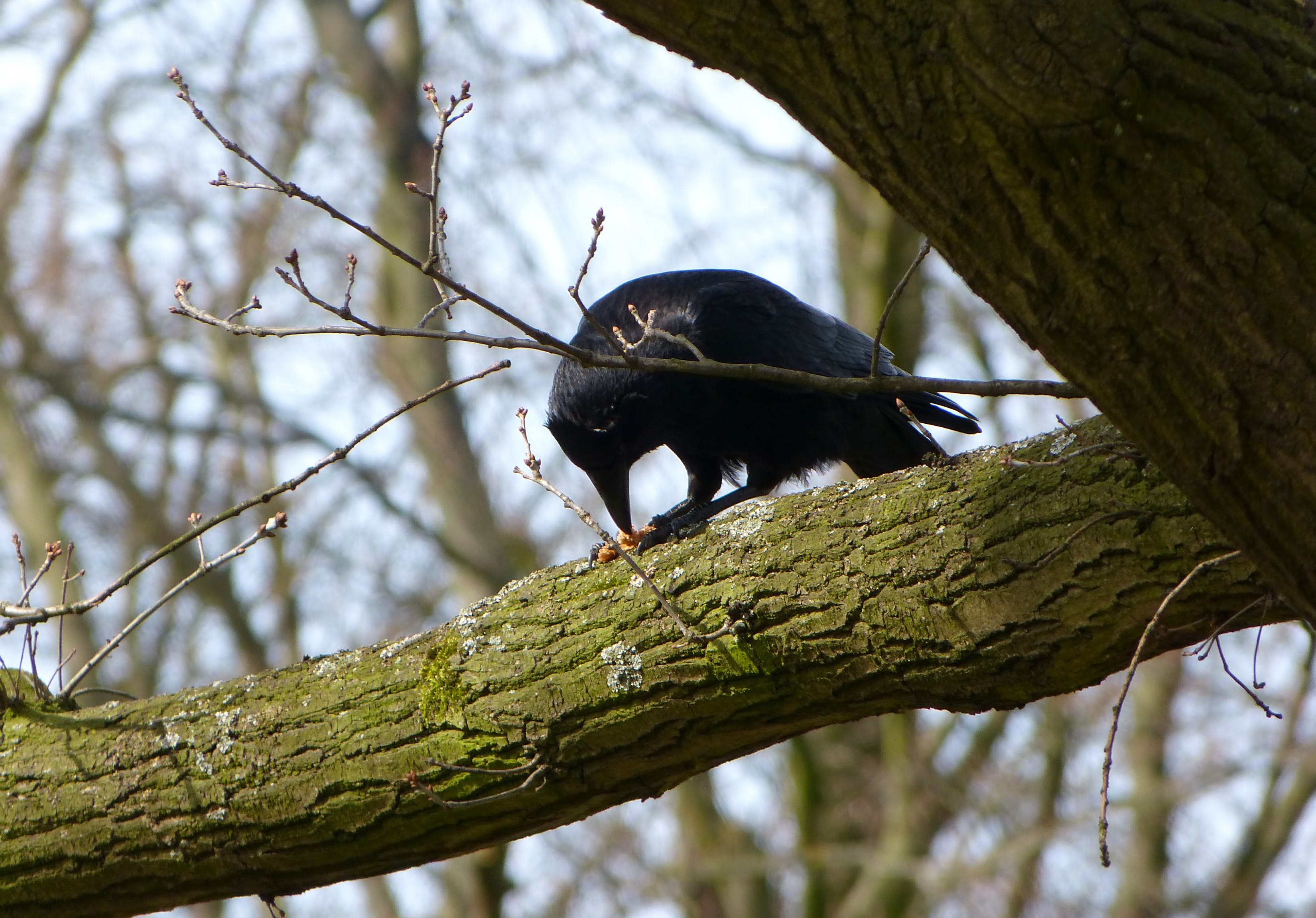 Druk bezig