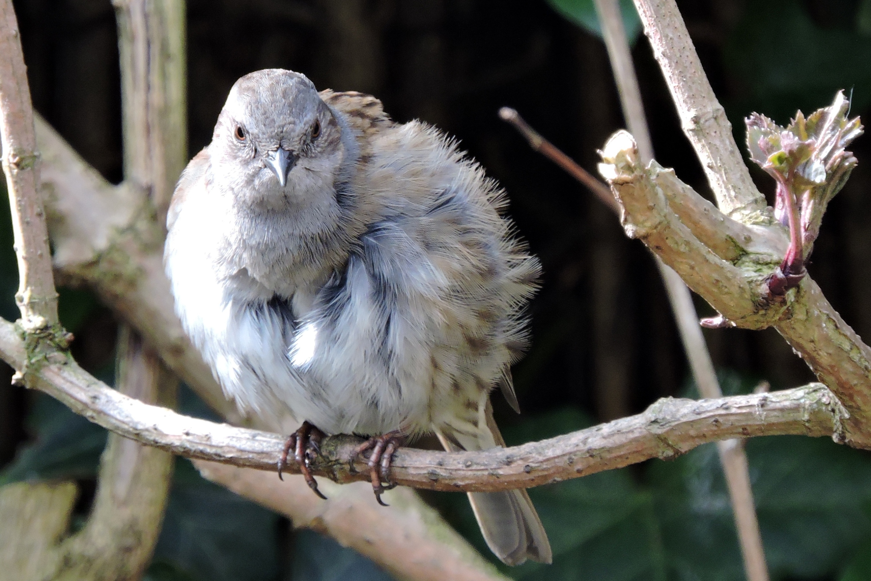 Die heeft een date!!