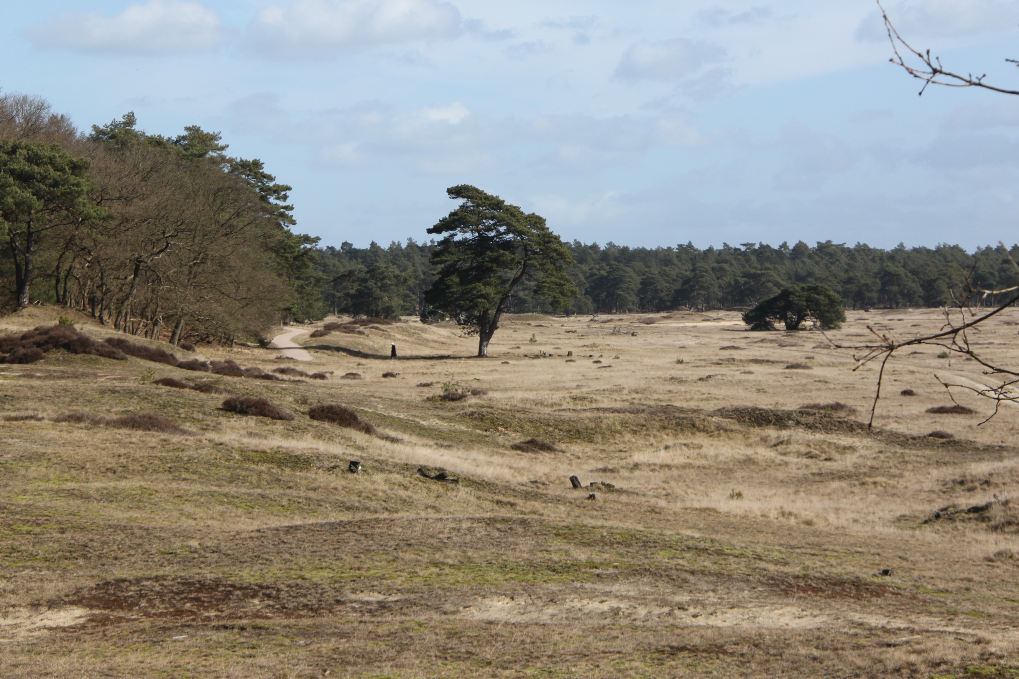 Nat.Park De Hoge Veluwe