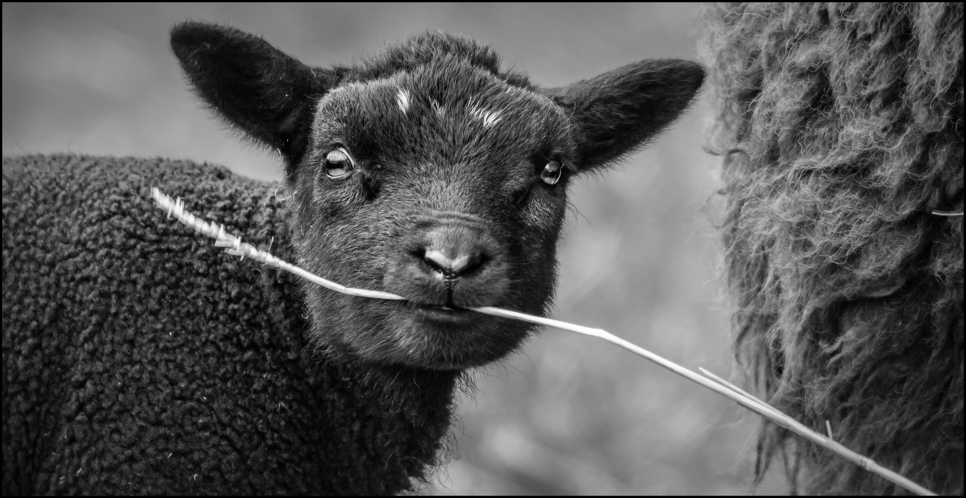 Kom maar op met die lente.