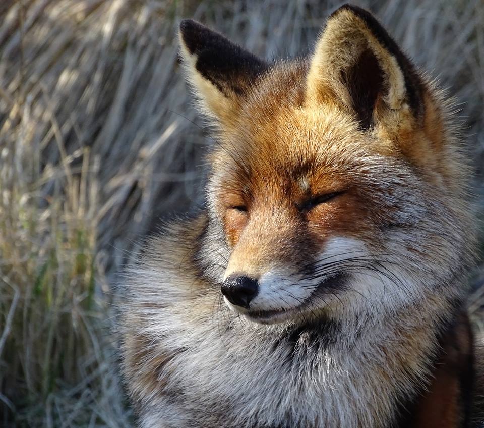 Genieten van het eerste lente zonnetje