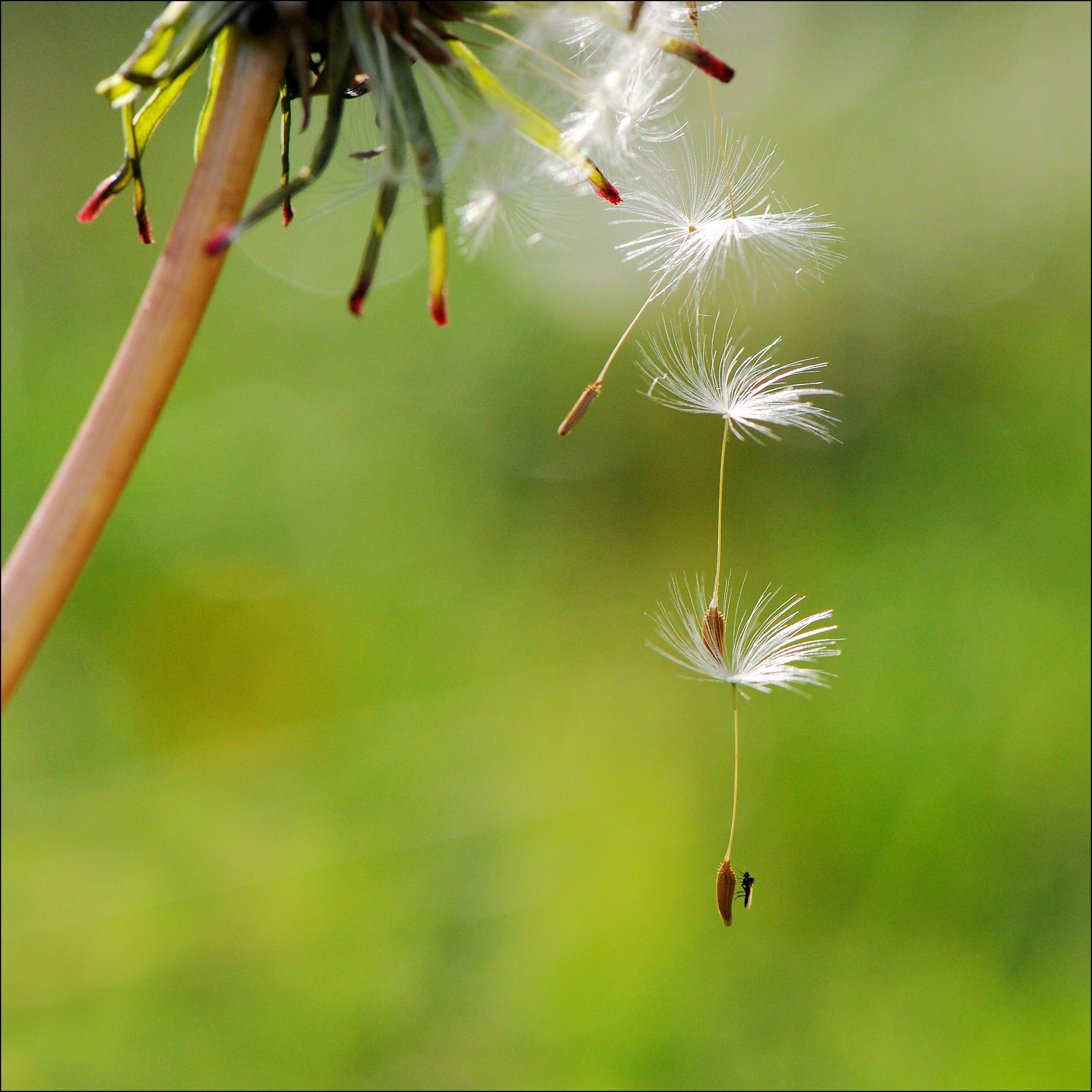 A bit closer 02_45