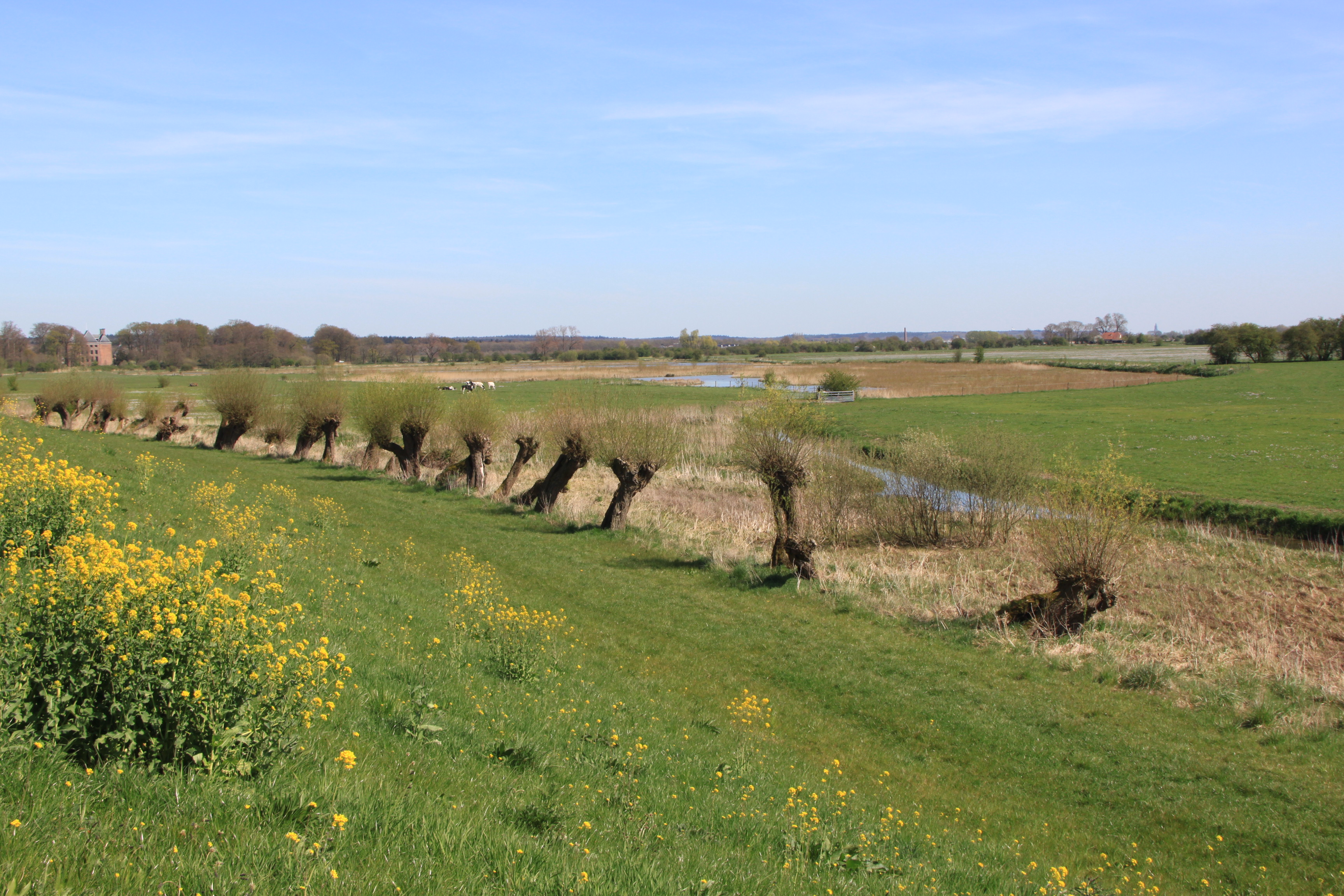 Amerongsebovenpolder